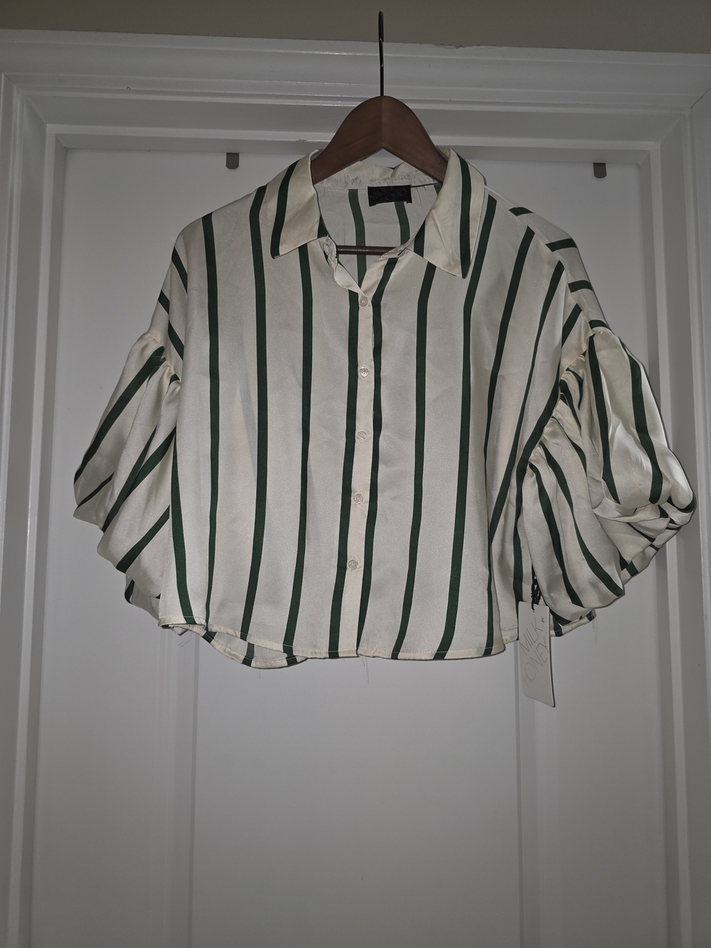 Cropped Button-Front Puff Sleeve Top - Cream & Green